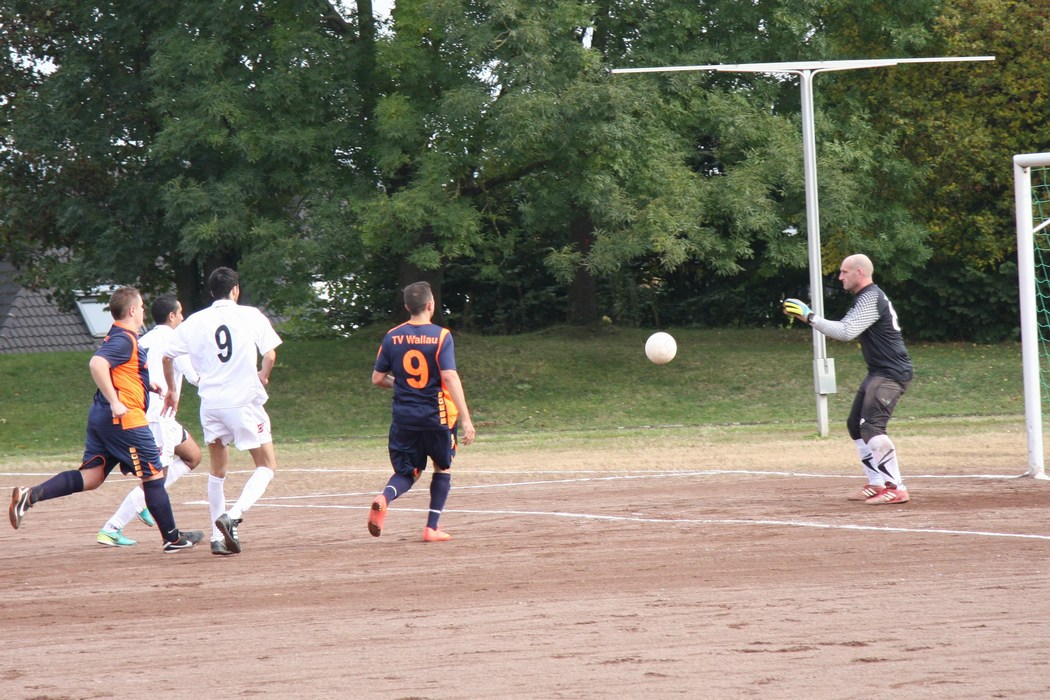 Image 11 of 57  -  220 kB