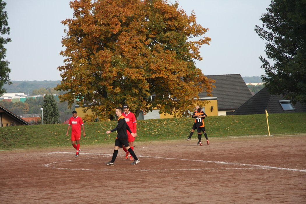 Image 47 of 57  -  223 kB