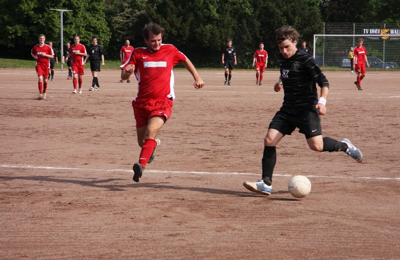 Bild 12 von 12  -  131 kB