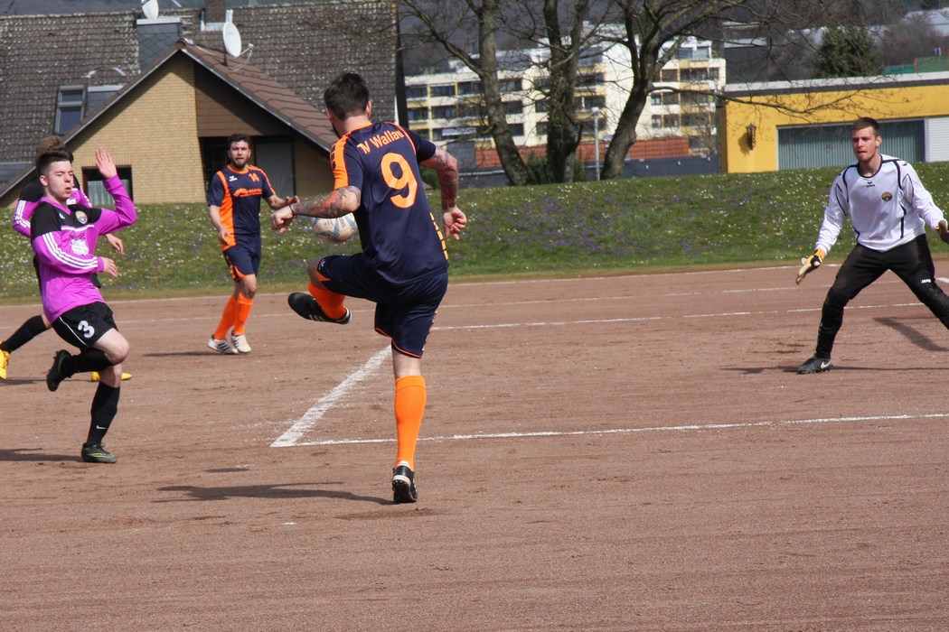 Image 14 of 48  -  217 kB
