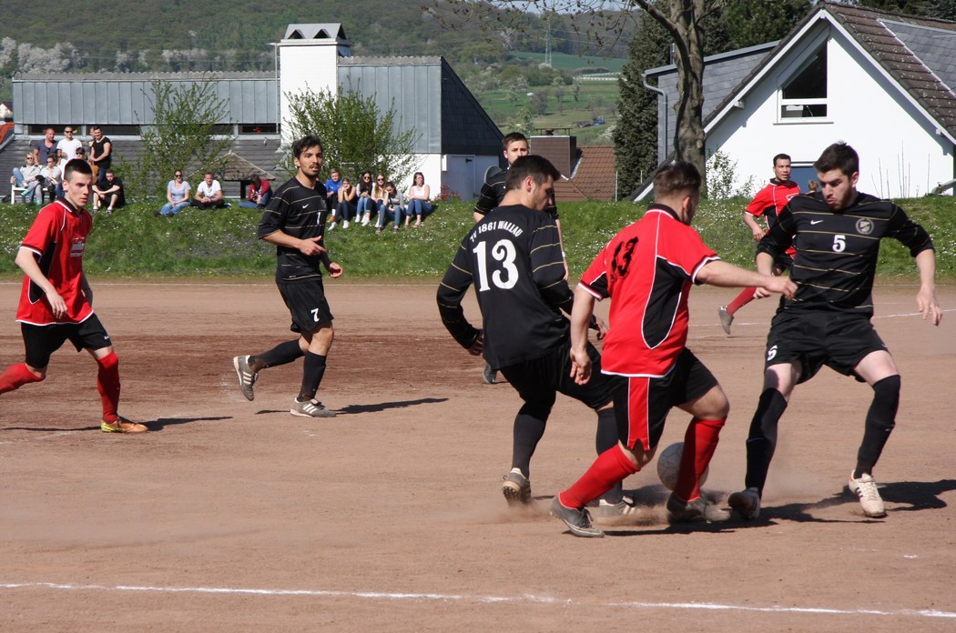 Image 43 of 46  -  204 kB
