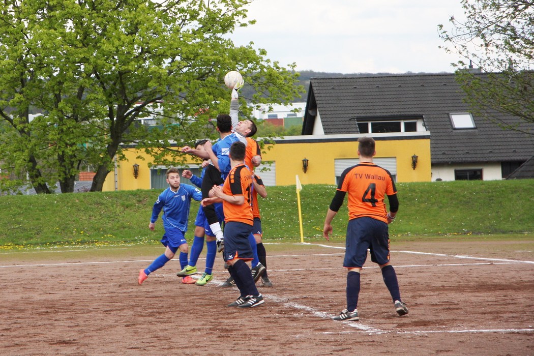 Image 41 of 49  -  245 kB