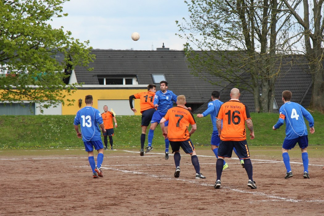 Image 45 of 49  -  235 kB
