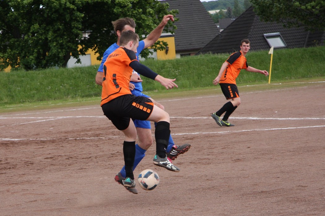 Image 13 of 52  -  180 kB
