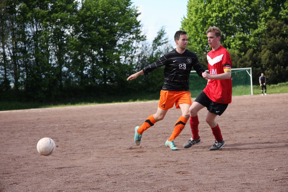 Bild 11 von 19  -  175 kB