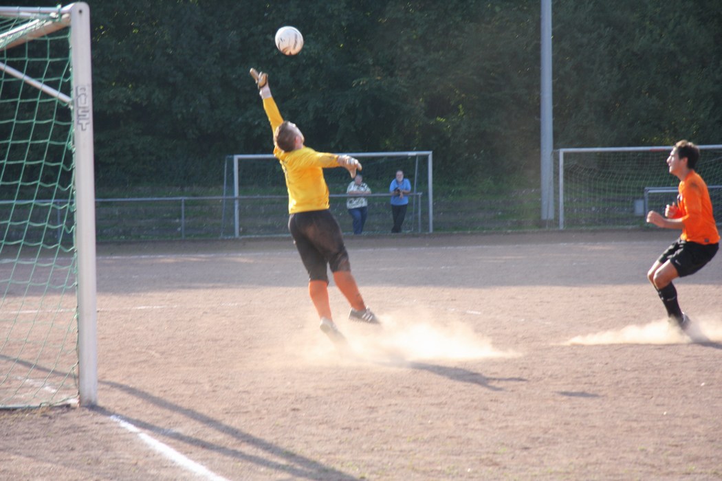 Image 41 of 49  -  136 kB