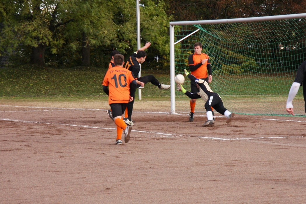 Image 12 of 22  -  201 kB
