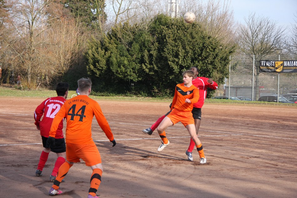 Bild 11 von 12  -  215 kB