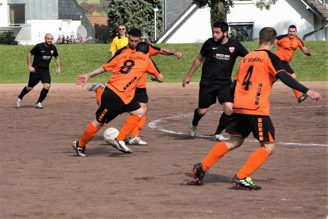 Image 4 of 37  -  219 kB