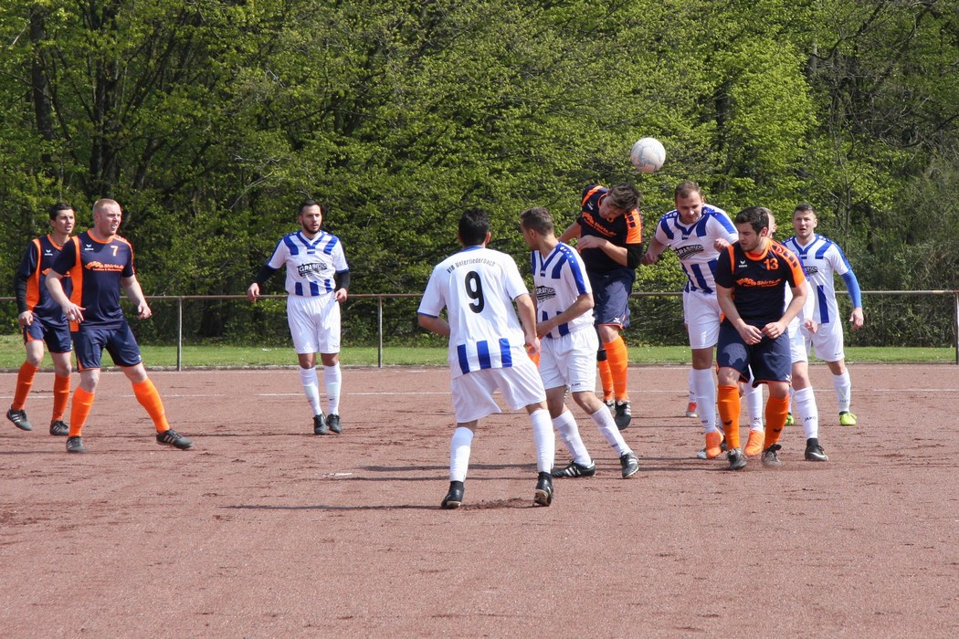 Image 4 of 50  -  294 kB